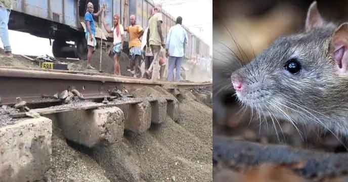 ফরাক্কা রেললাইনে ধস